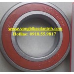 VÒNG BI 6213 2RS1/C3